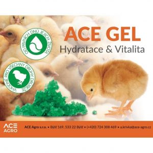 ACE Gel, komletná kŕmna zmes pre kurčatá